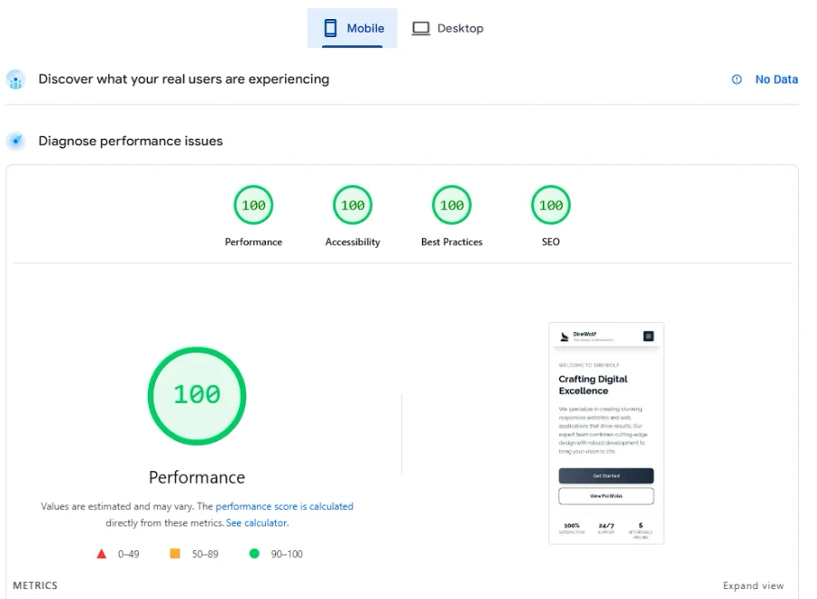 Website Performance Metrics - 100/100 scores across all categories